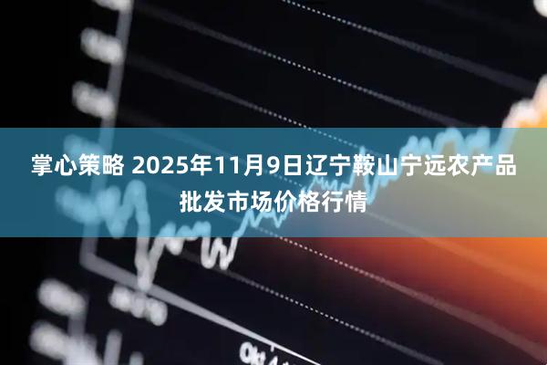 掌心策略 2025年11月9日辽宁鞍山宁远农产品批发市场价格行情