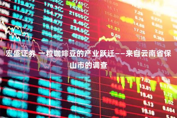 宏盛证券 一粒咖啡豆的产业跃迁——来自云南省保山市的调查